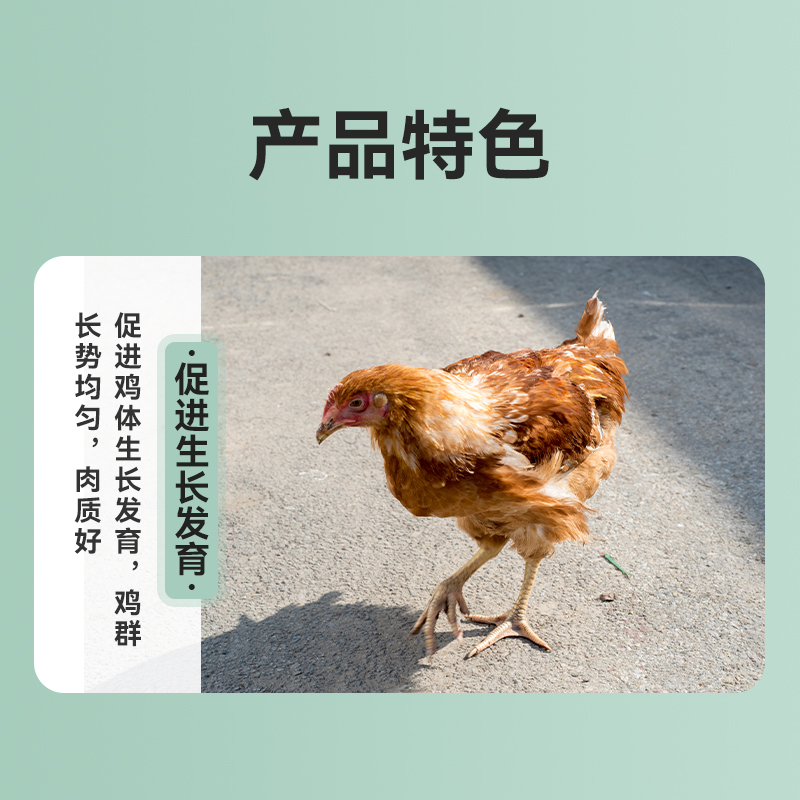肉雞飼料金昊圓5%肉雞預混料肉中雞飼料湖南廠家發貨包郵
